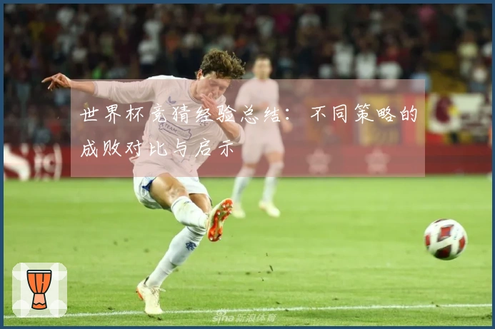 世界杯竞猜经验总结：不同策略的成败对比与启示