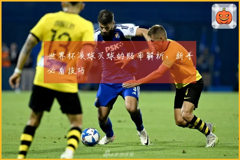 世界杯滚球买球的赔率解析，新手必看技巧