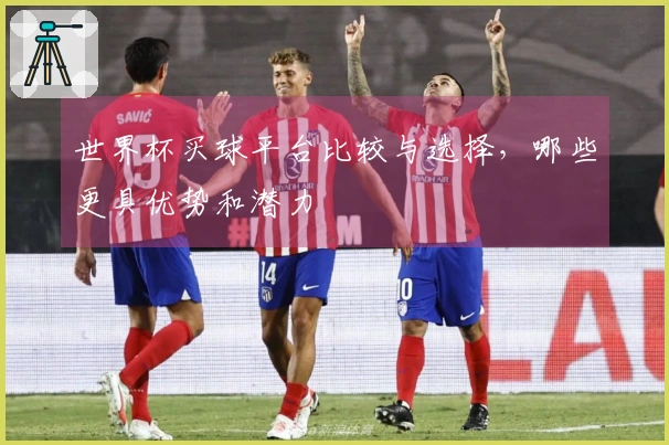 世界杯买球平台比较与选择，哪些更具优势和潜力