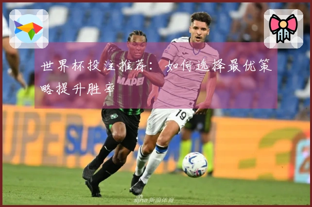 世界杯投注推荐：如何选择最优策略提升胜率