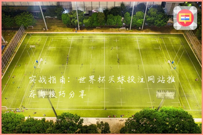 实战指南：世界杯买球投注网站推荐与技巧分享