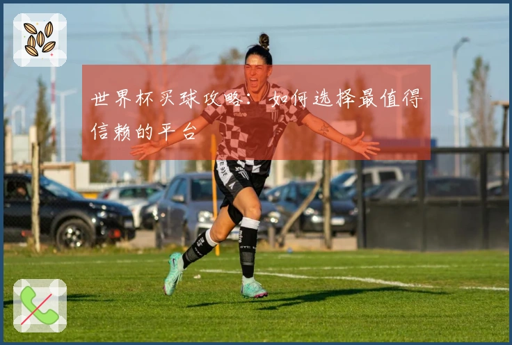 世界杯买球攻略：如何选择最值得信赖的平台