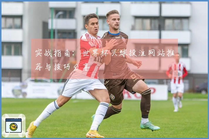 实战指南：世界杯买球投注网站推荐与技巧分享