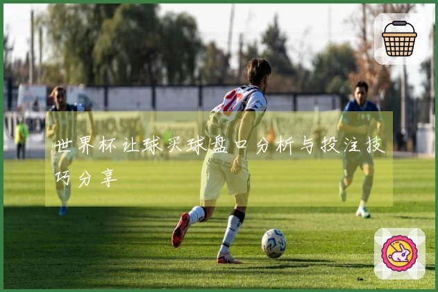 世界杯让球买球盘口分析与投注技巧分享