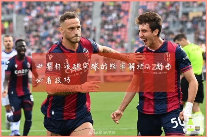 世界杯滚球买球的赔率解析，新手必看技巧