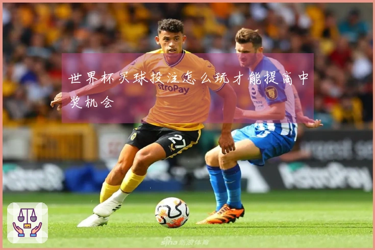 世界杯买球投注怎么玩才能提高中奖机会