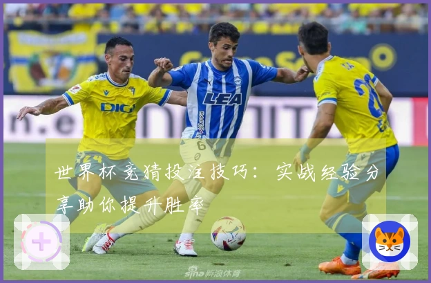 世界杯竞猜投注技巧：实战经验分享助你提升胜率