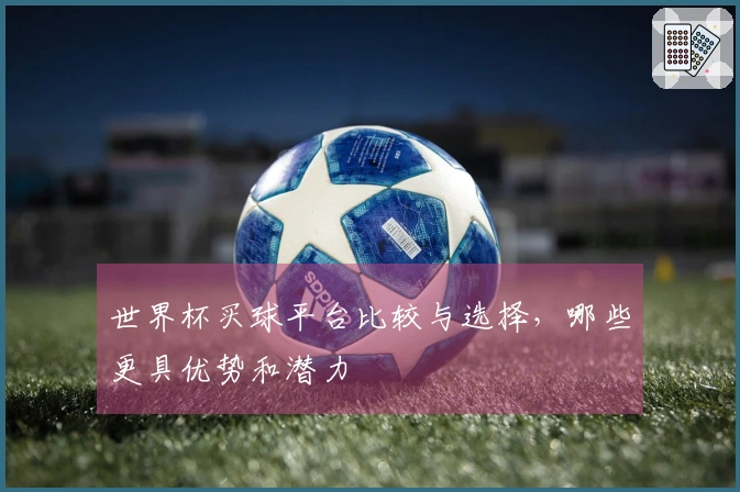 世界杯买球平台比较与选择，哪些更具优势和潜力