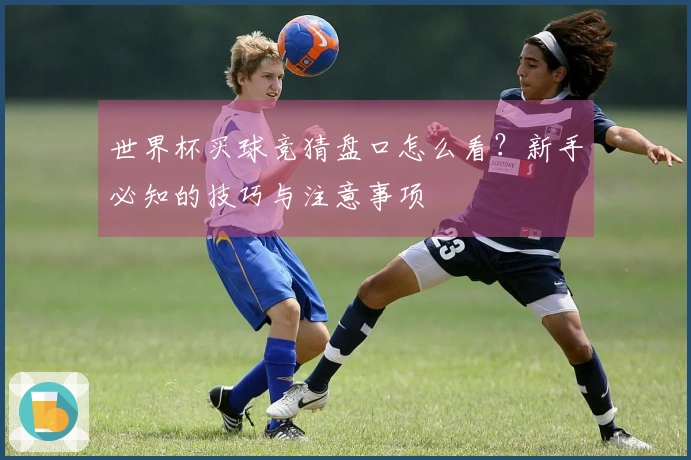 世界杯买球竞猜盘口怎么看？新手必知的技巧与注意事项