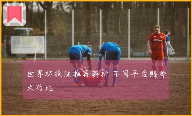 世界杯投注推荐解析 不同平台赔率大对比
