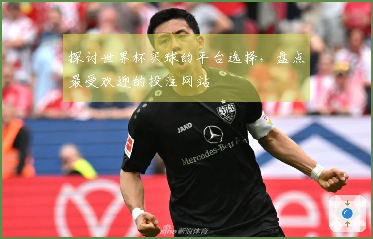 探讨世界杯买球的平台选择，盘点最受欢迎的投注网站